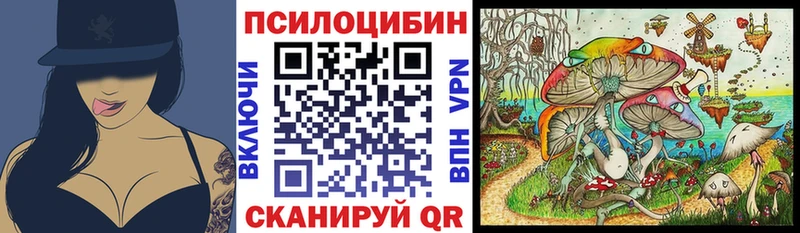 где продают   Сортавала  Галлюциногенные грибы Psilocybe 